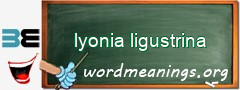 WordMeaning blackboard for lyonia ligustrina